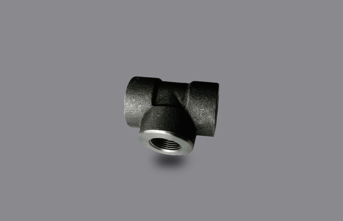 Carbon Steel UNEQUAL TEE 2