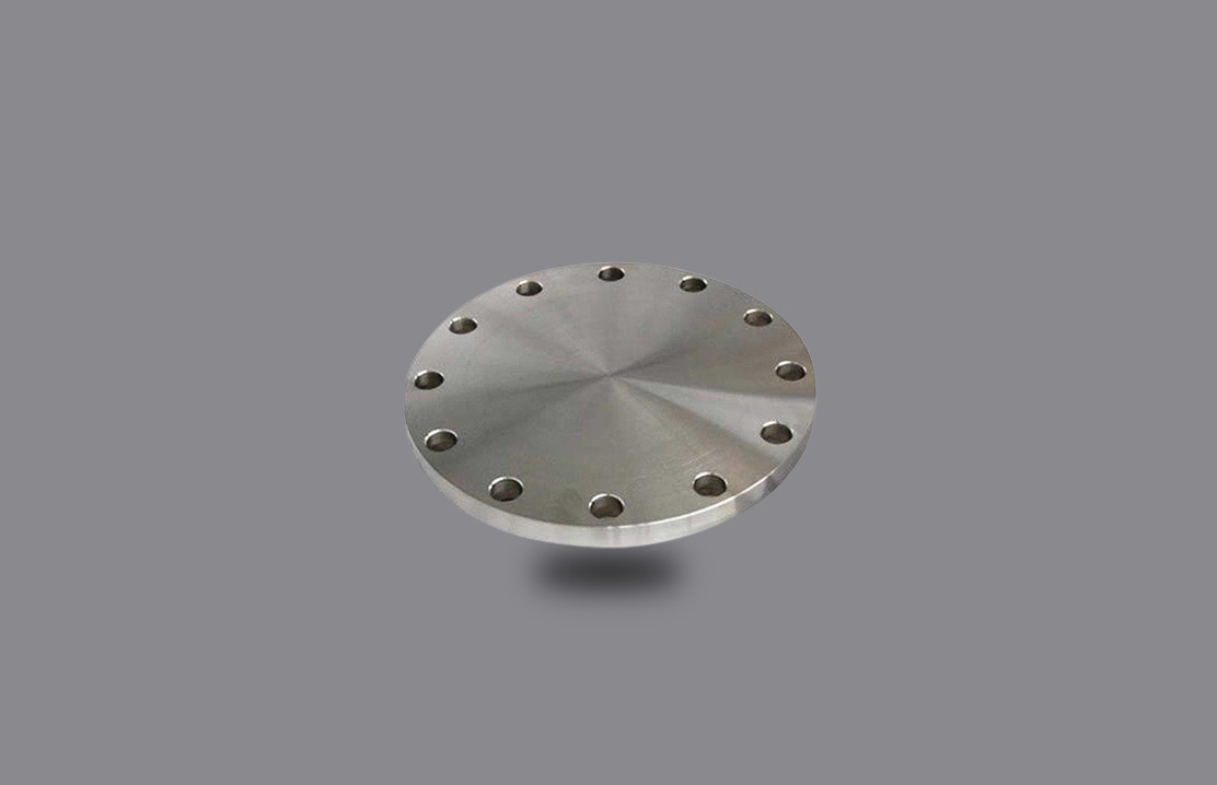 alloy Steel BLIND FLANGE 2
