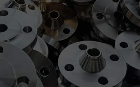 Stainless Steel Weld Neck Flanges