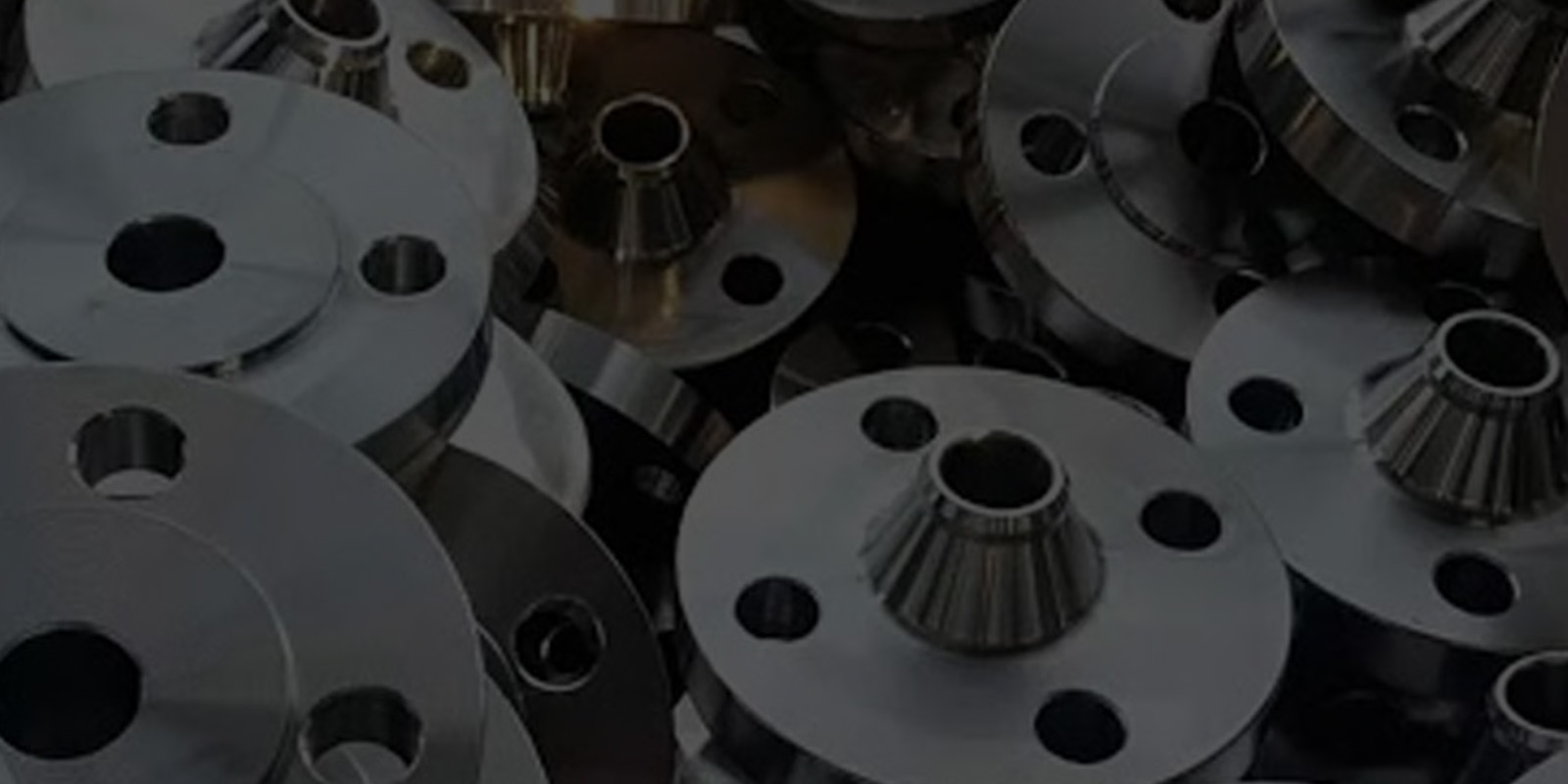 Stainless Steel Weld Neck Flanges